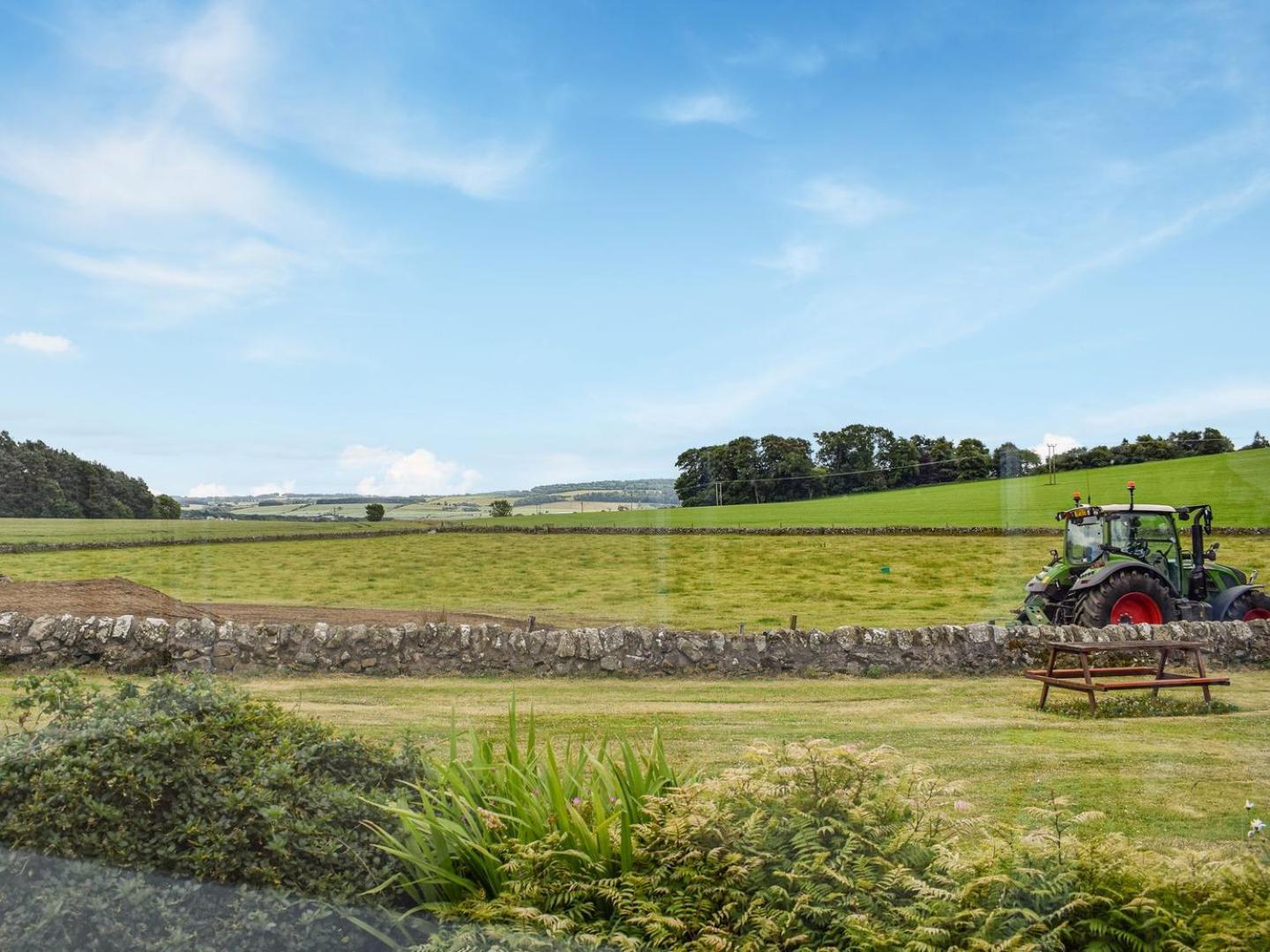 Southview Cottage Cupar Exteriör bild