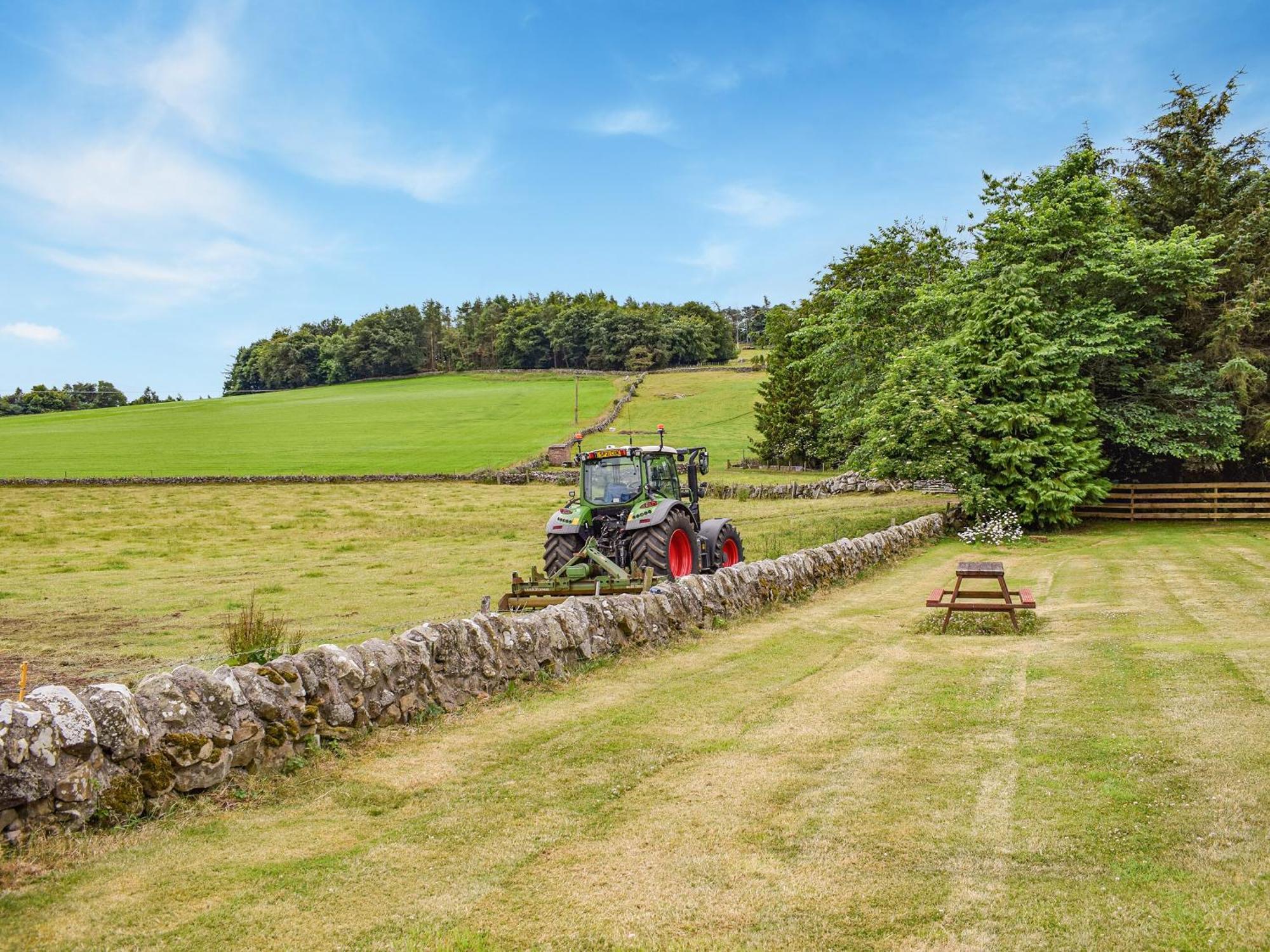 Southview Cottage Cupar Exteriör bild